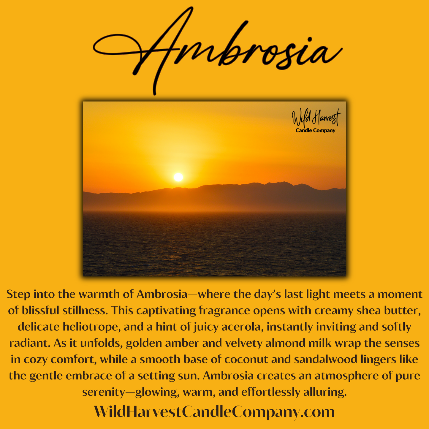 AMBROSIA SCENTED - Pure Beeswax Melts for Warmers, (1-PACK)