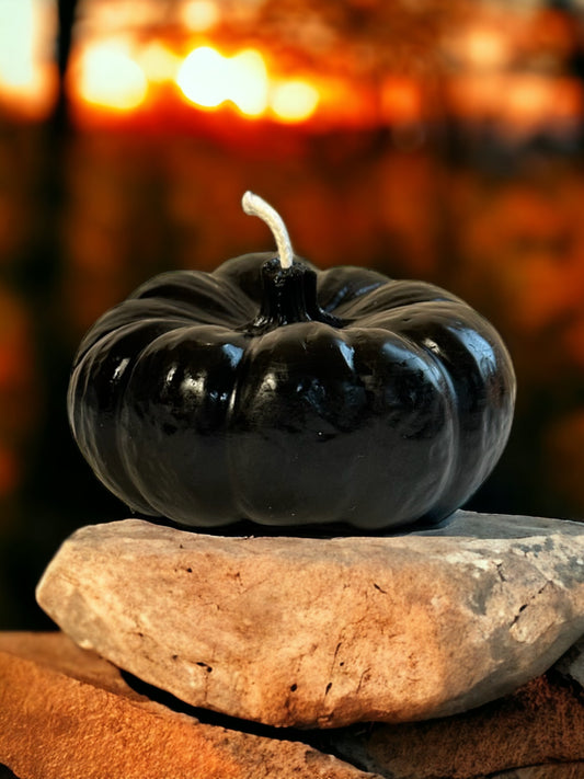 Black Pumpkin Beeswax Candle