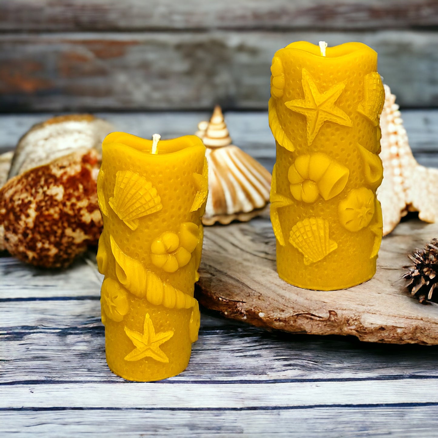 Ocean Shell Conch Starfish Beach Theme - Pure Beeswax Candle - Set of 2