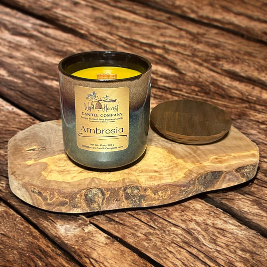 Ambrosia Scented Beeswax Candle – 10 oz | Amber, Shea Butter & Sandalwood | Crackling Wood Wick in Elements Ceramic Jar