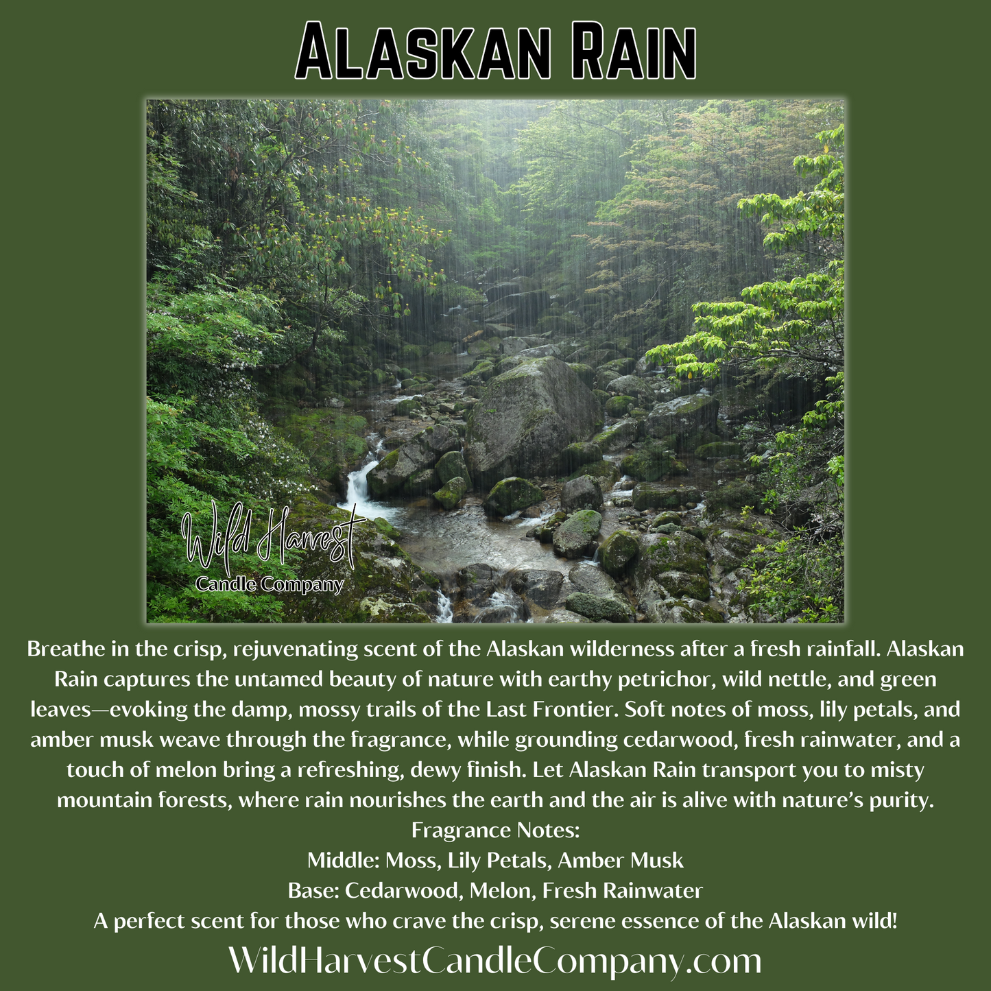 ALASKAN RAIN SCENTED - Pure Beeswax Melts for Warmers, (1-PACK)