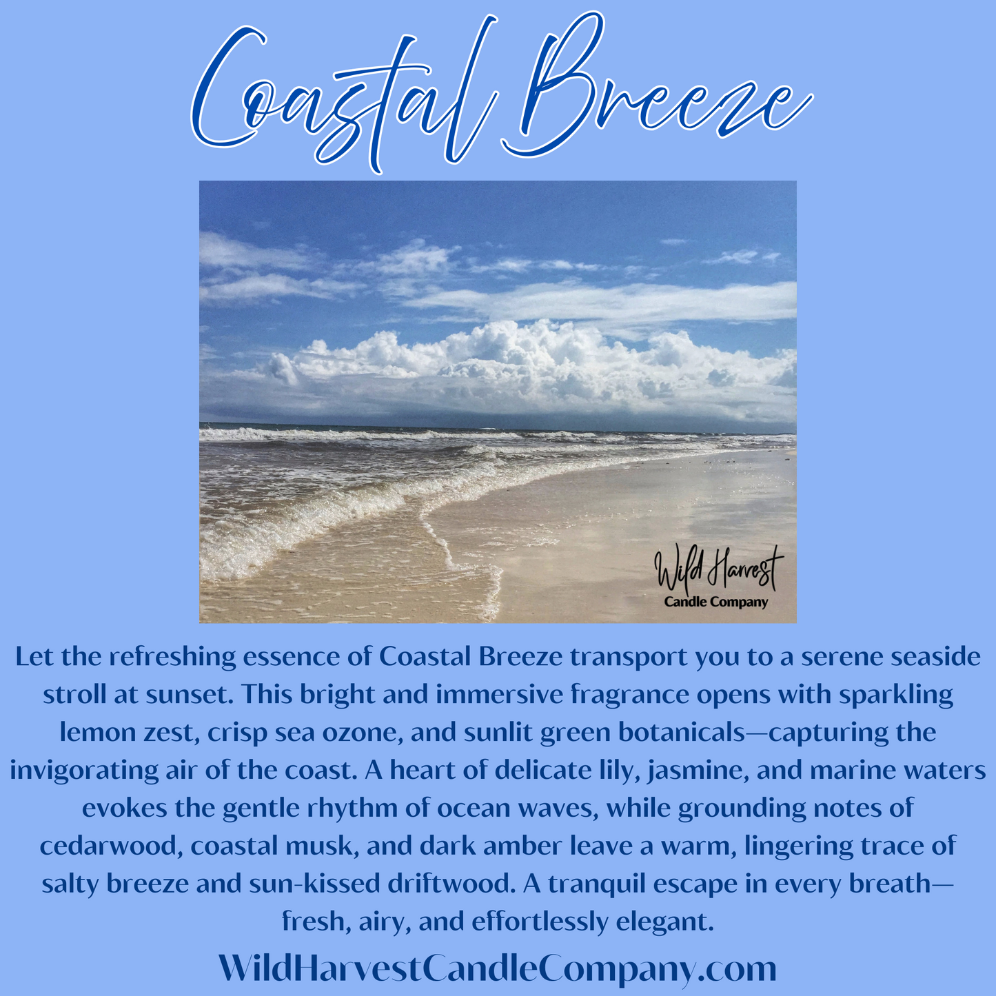 COASTAL BREEZE SCENTED - Pure Beeswax Melts for Warmers, (1-PACK)