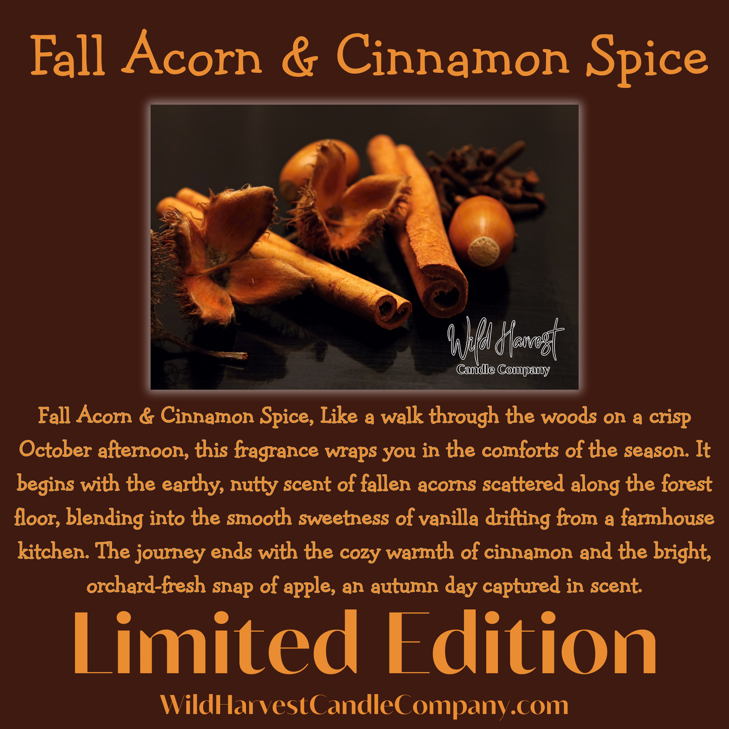 Fall Acorn & Cinnamon Spice SCENTED - Pure Beeswax Melts (LIMITED EDITION)