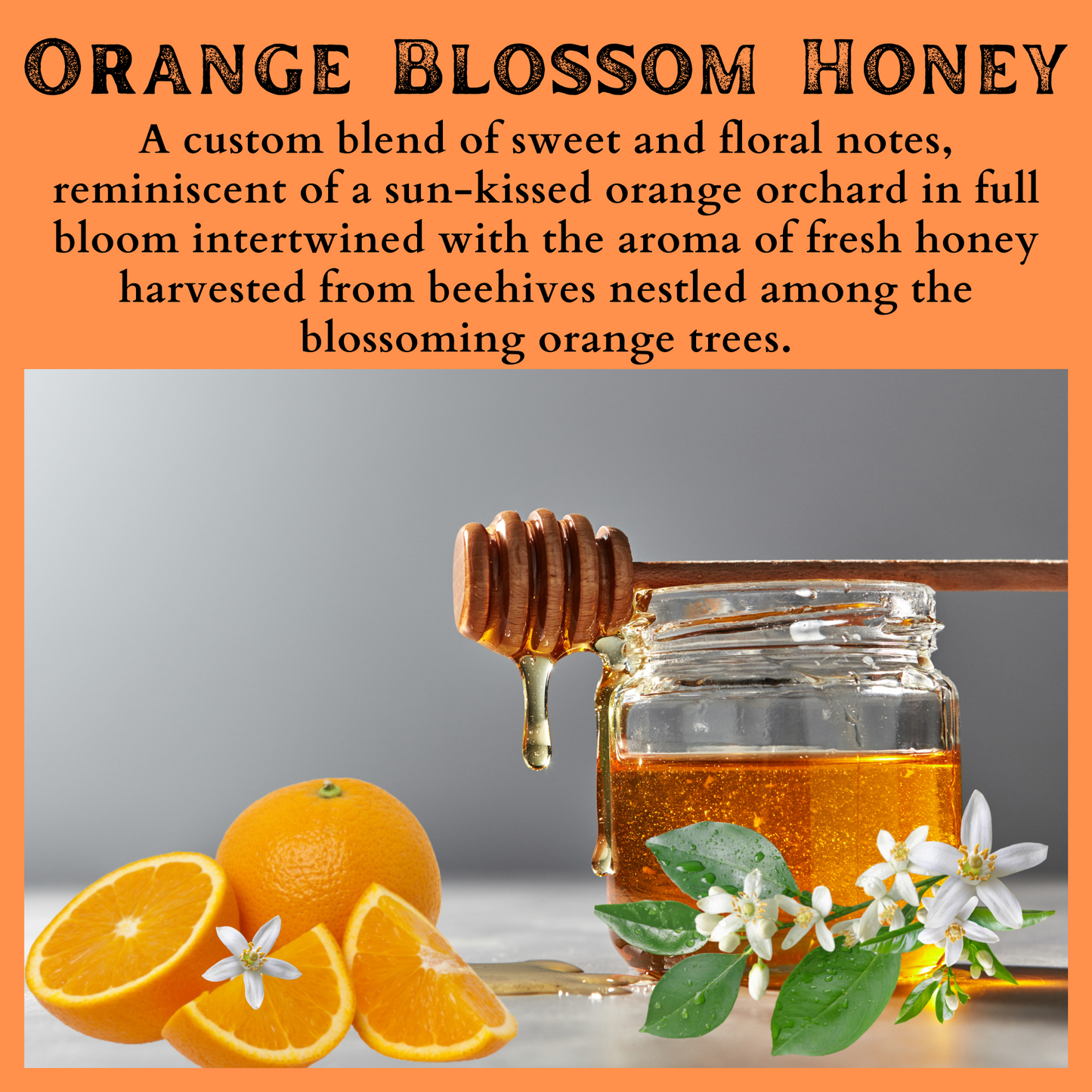 Orange Blossom Honey Scented - Pure Beeswax Melts (1-Pack)