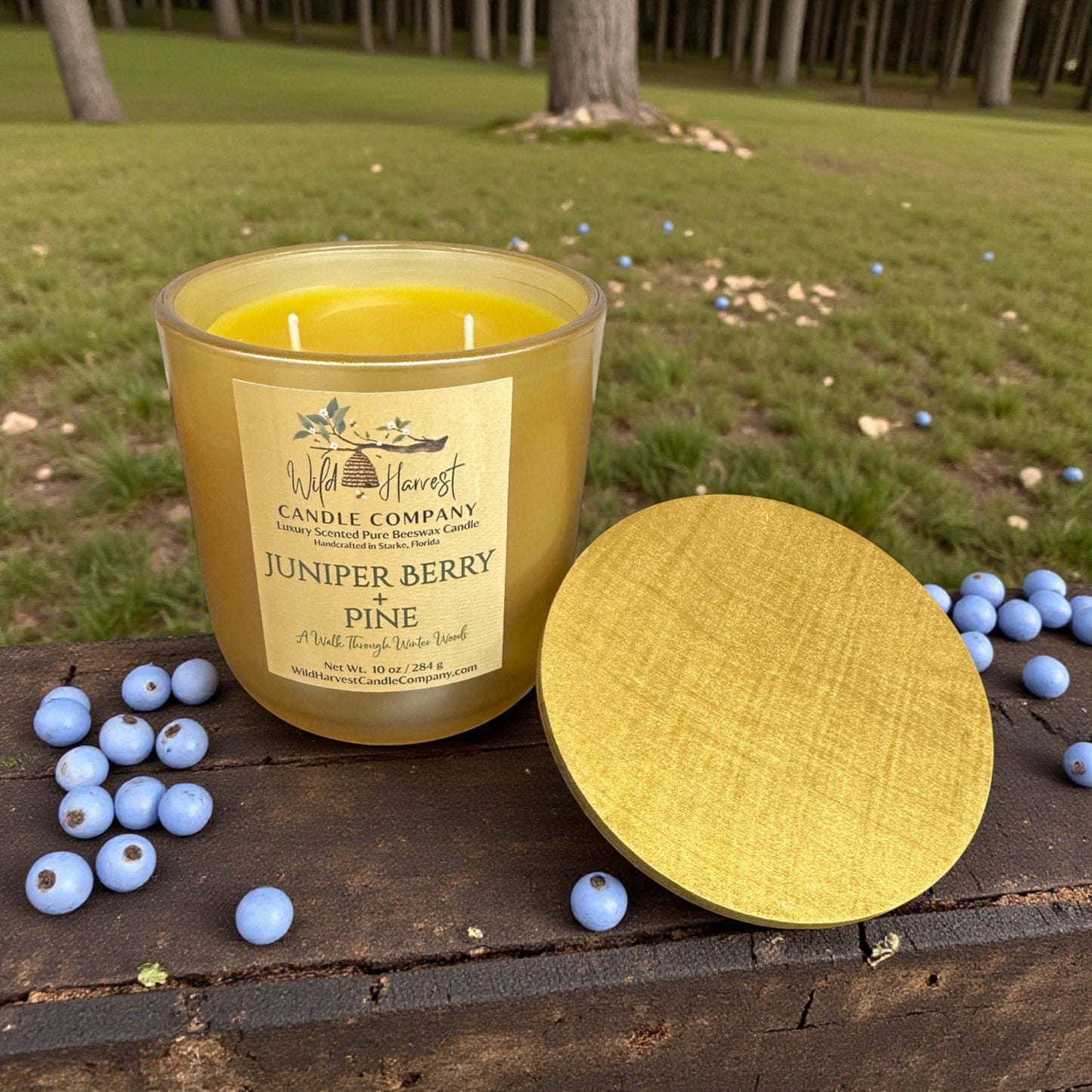 Juniper Berry & Pine – Limited Edition Scented Pure Beeswax Candle | Champagne Gold Vessel | 10 oz