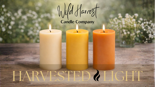 Why Beeswax Candles Come in Different Colors | Natural Beeswax Explained