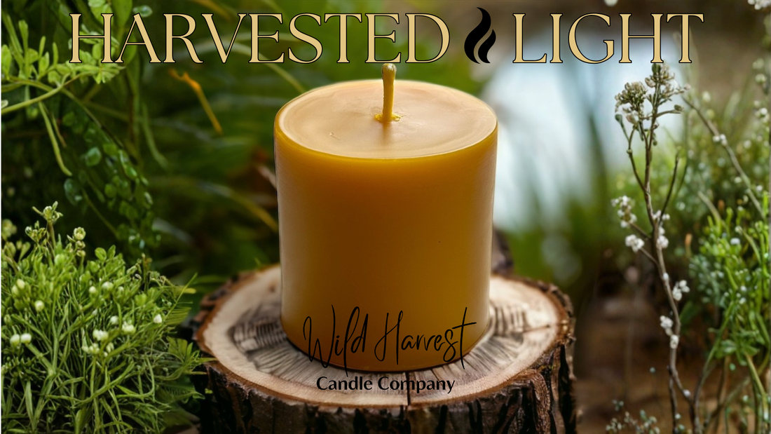 Why Beeswax Candles Are the Cleanest Choice for Your Home