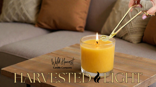 Why Trimming Your Candle Wick Matters More Than You Think