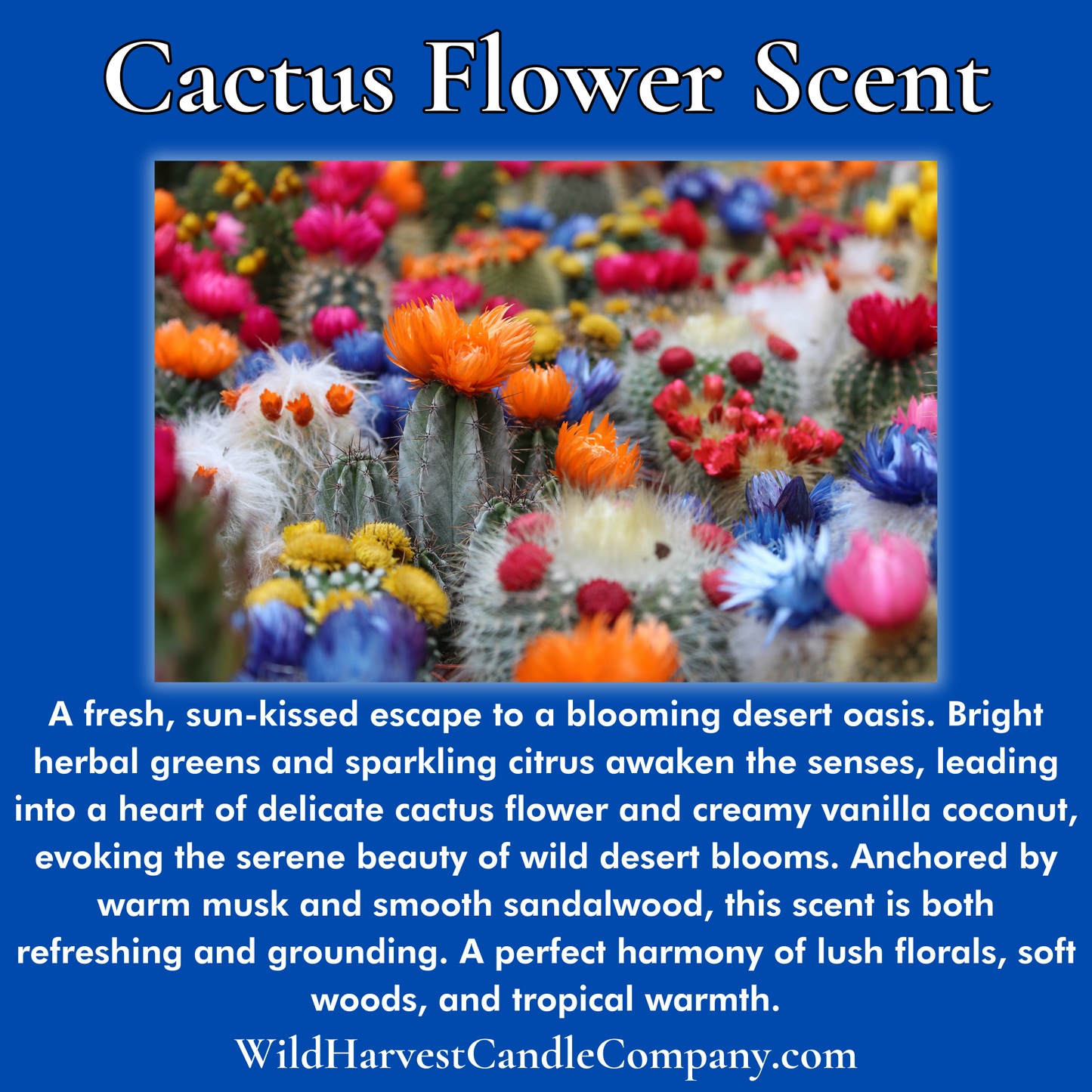 CACTUS FLOWER SCENTED - Pure Beeswax Melts for Warmers, (1-PACK)