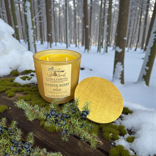 Juniper Berry & Pine – Limited Edition Holiday Beeswax Candle | Champagne Gold Vessel | 10 oz