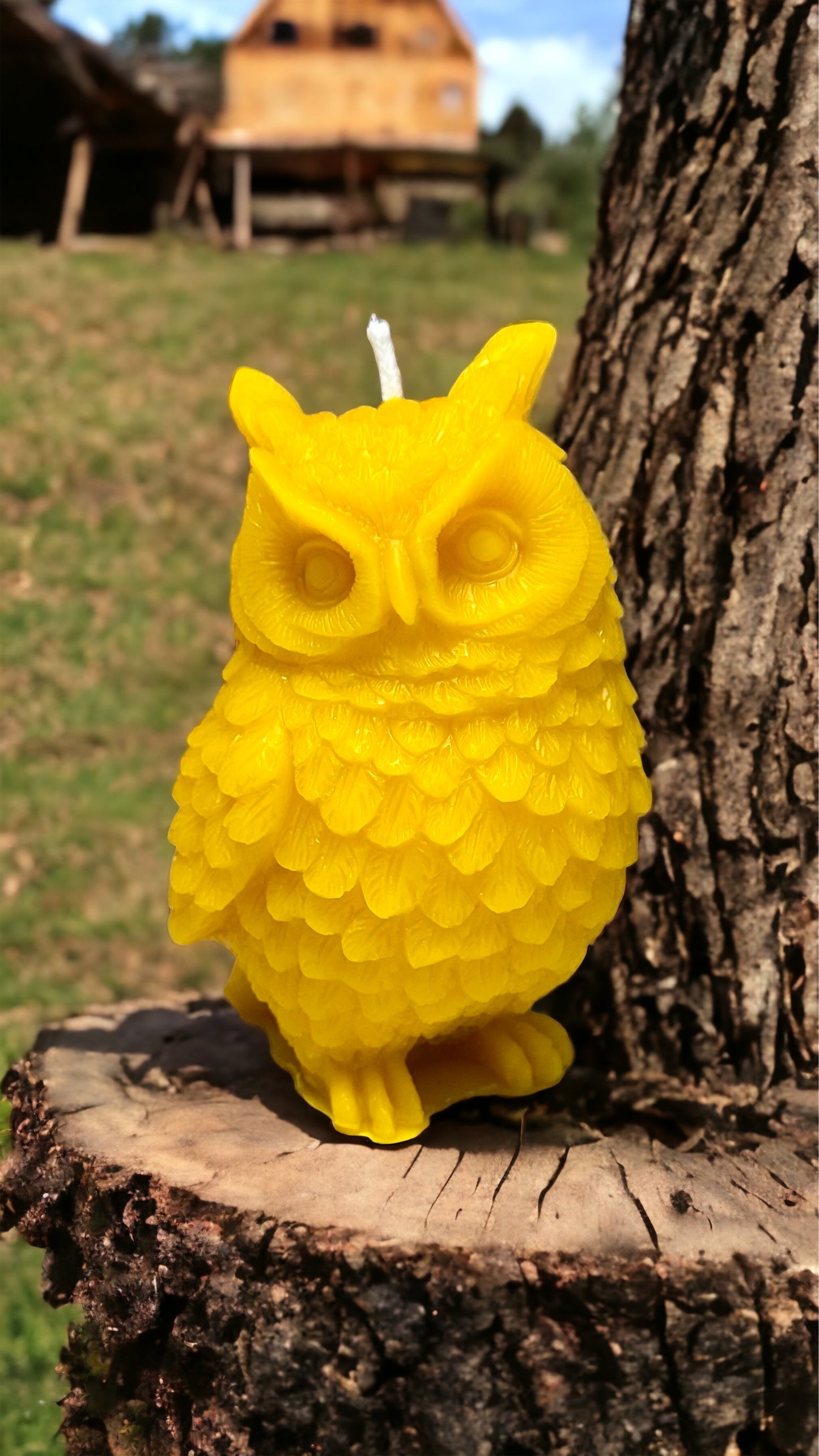 Beeswax Owl Candles