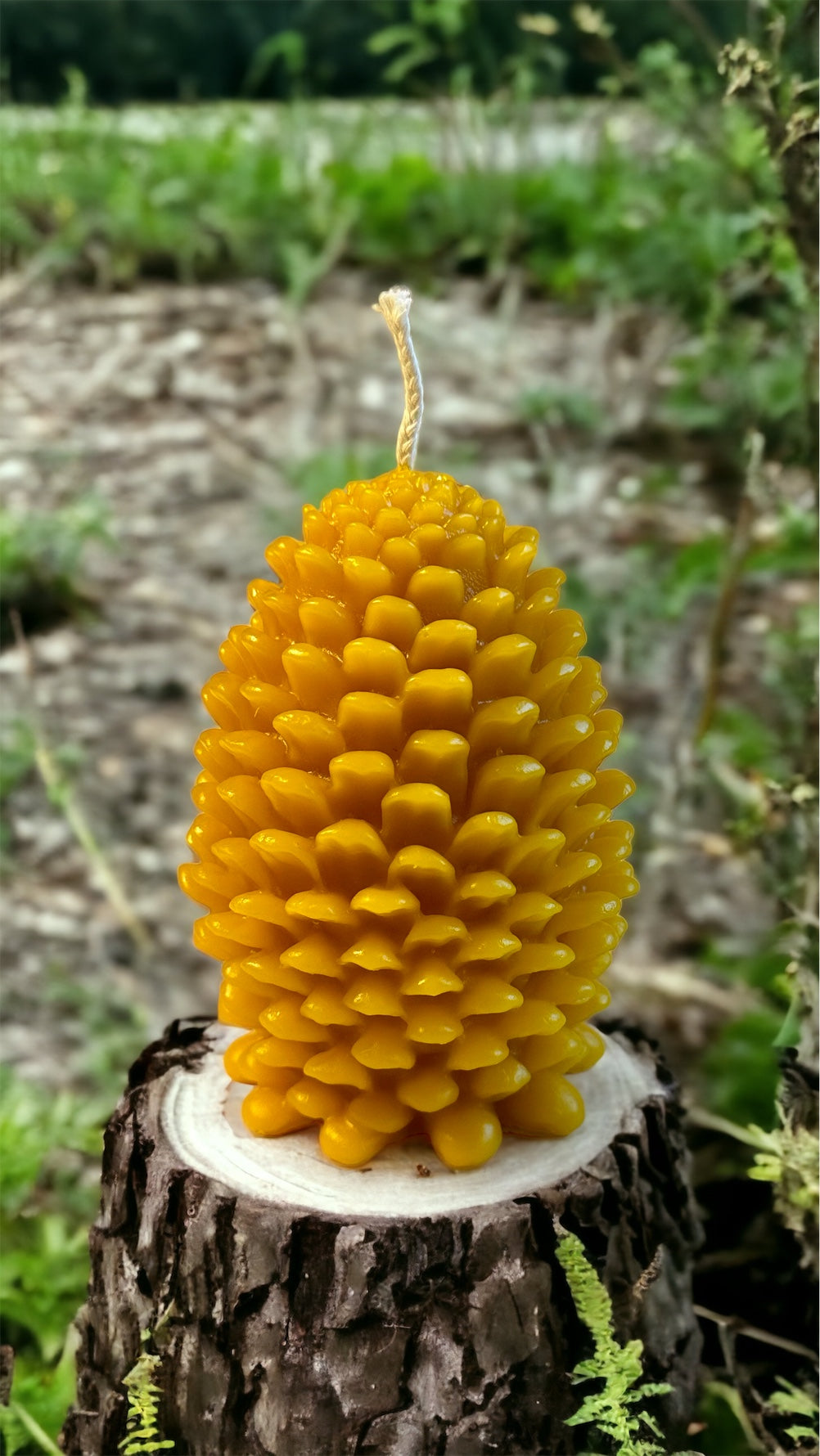 Pinecone Pure Beeswax Candle