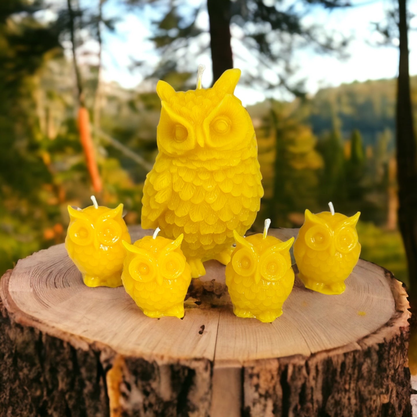 Beeswax Owl Candles