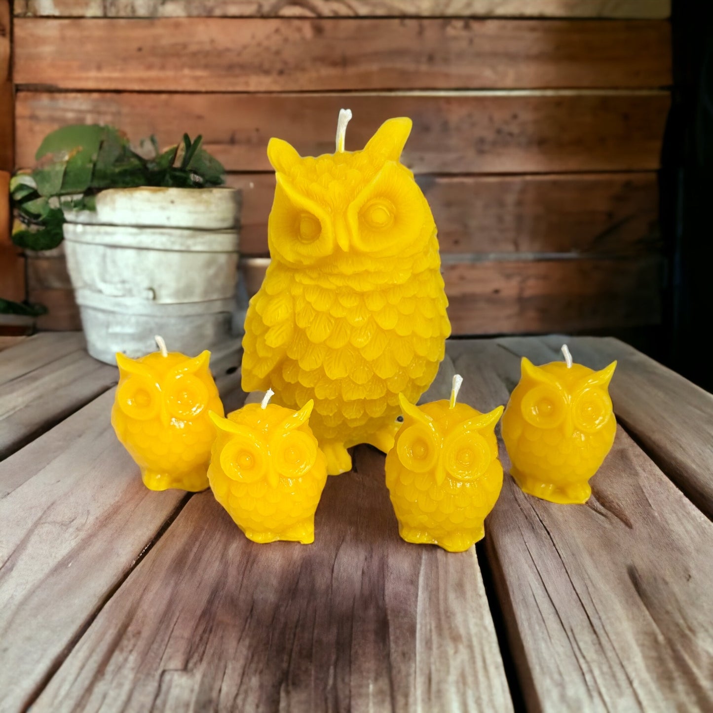 Beeswax Owl Candles