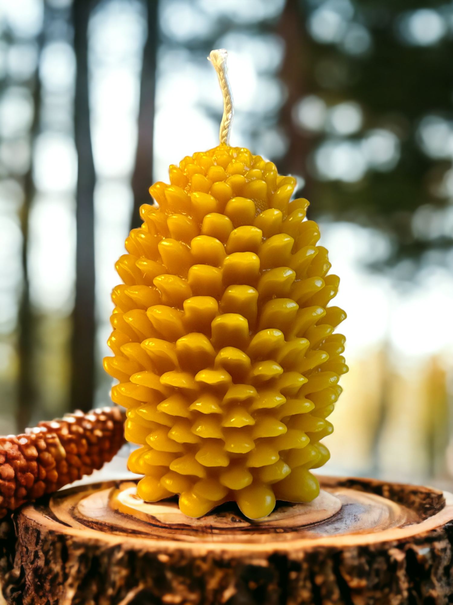 Pinecone shaped Pure Beeswax Candle Wild Harvest Candle Company