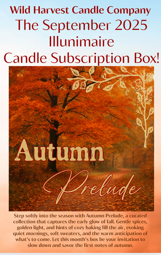 The Mini Illuminaire Beeswax Candle Club Subscription Box