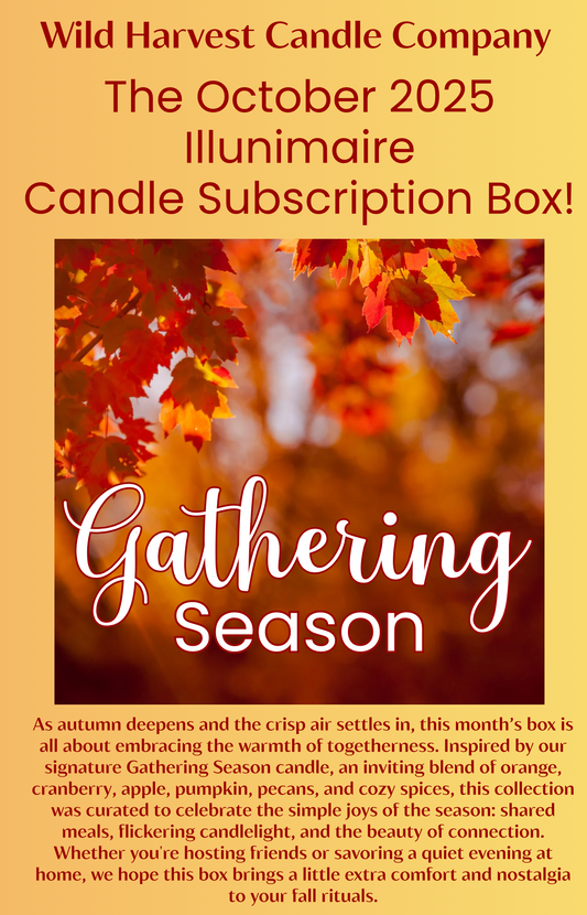 The Mini Illuminaire Beeswax Candle Club Subscription Box