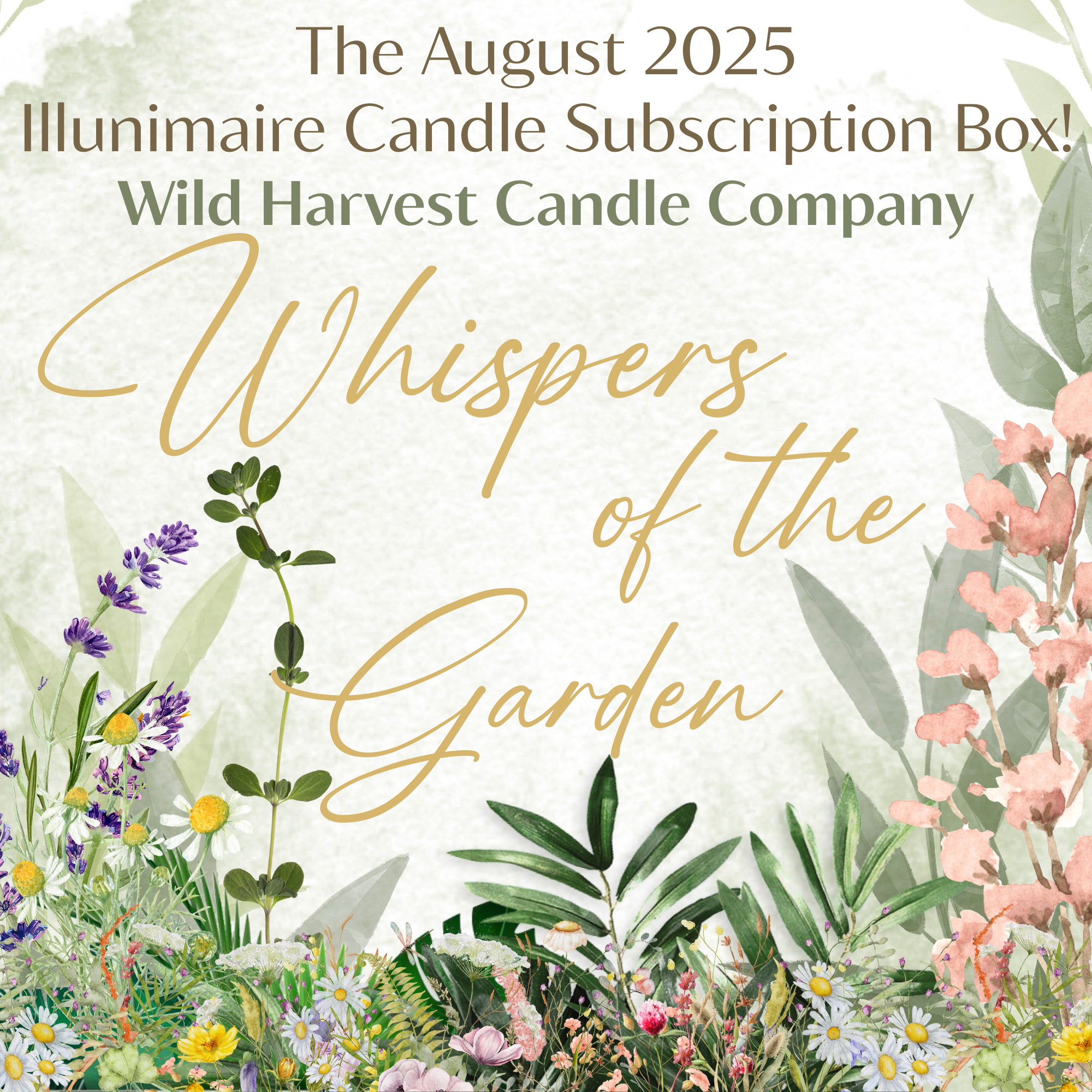august banner.png__PID:f375a6ae-c7e3-4baa-9164-a0965d8aba13
