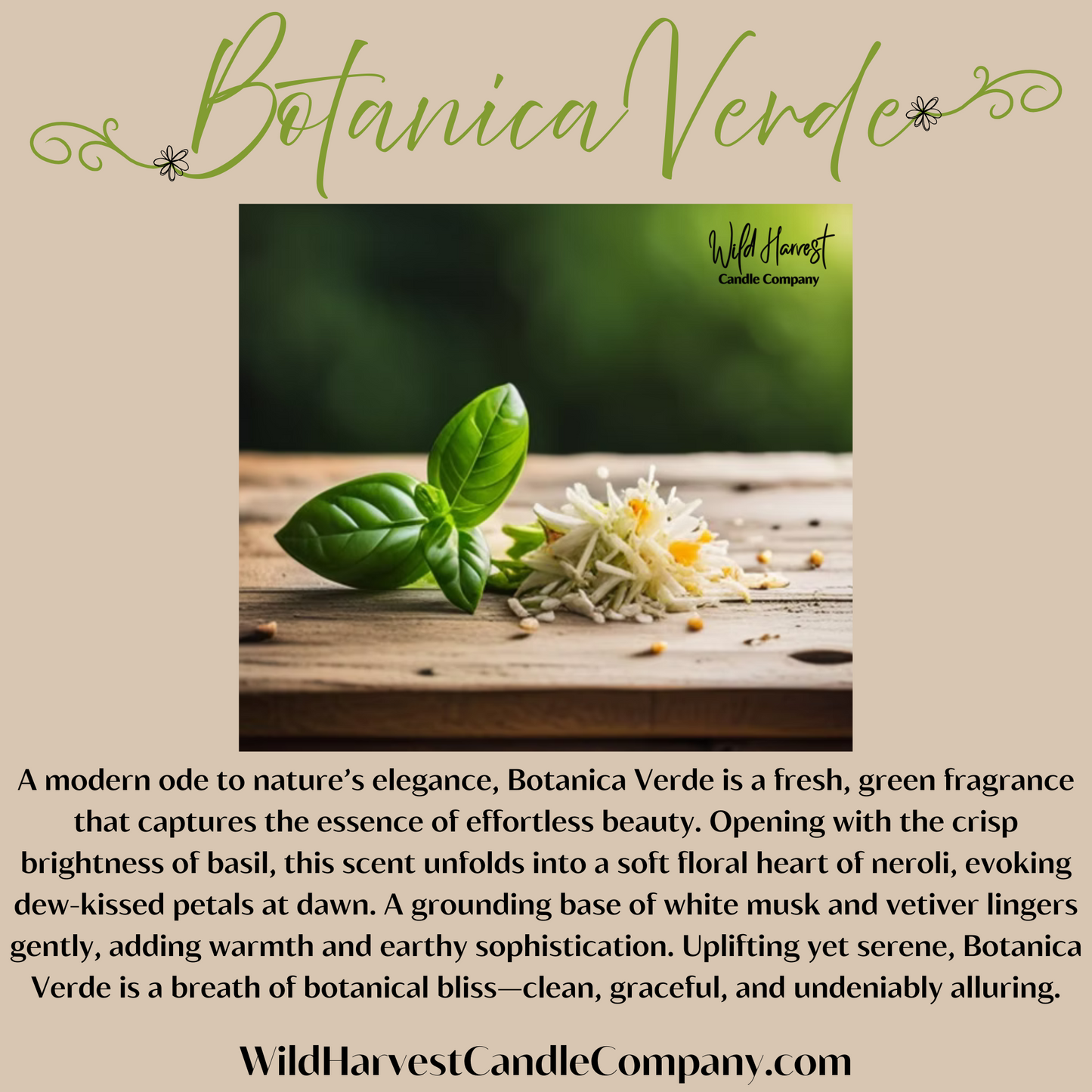 Botanica Verde | 10 oz Pure Beeswax Candle – Fresh Green Scent with Basil, Neroli, Musk & Vetiver in Ceramic Vessel