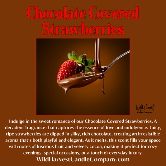 CHOCOLATE COVERED STRAWBERRIES - Pure Beeswax Melts (1-Pack)