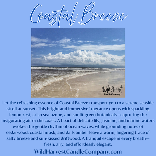 COASTAL BREEZE SCENTED - Pure Beeswax Melts for Warmers, (1-PACK)