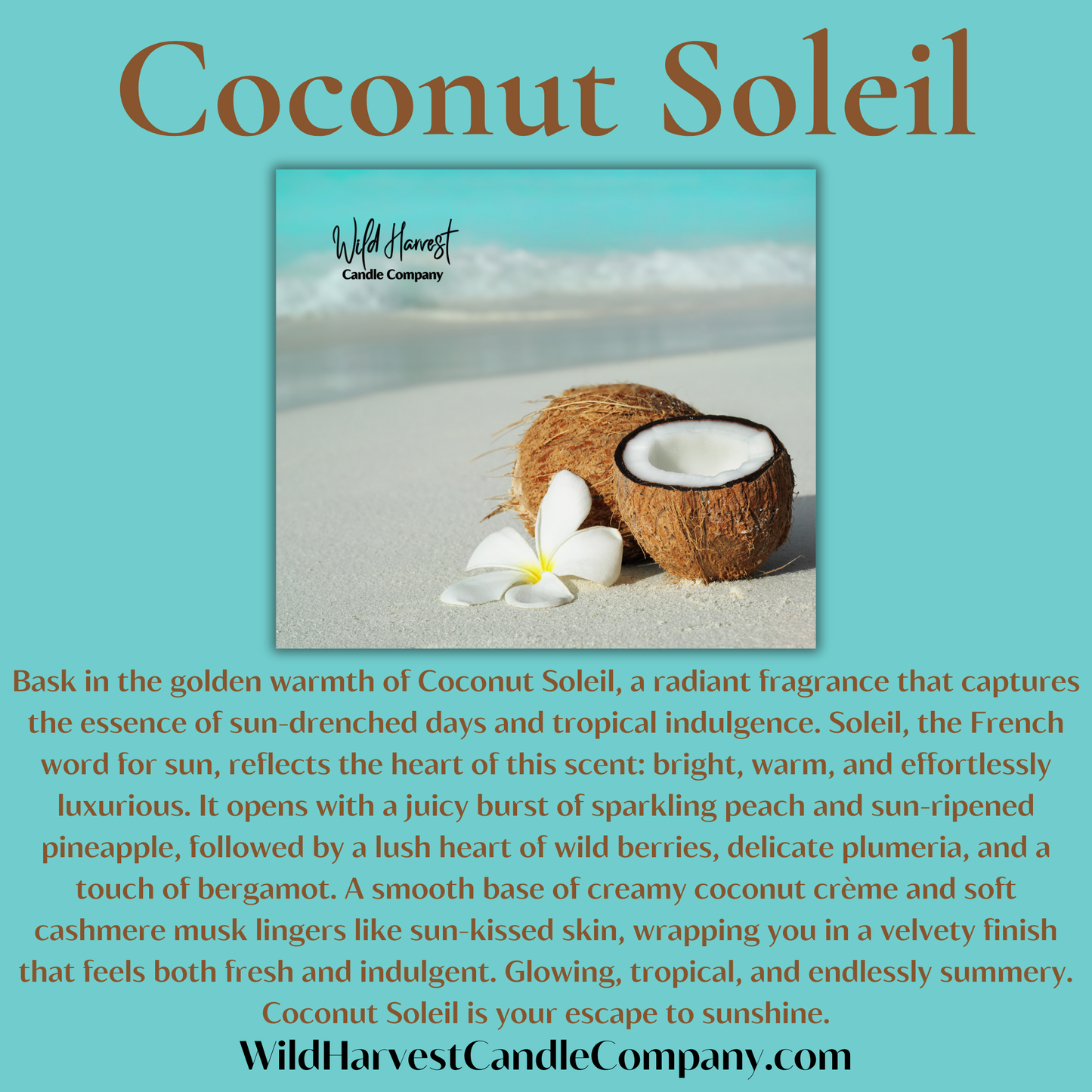 COCONUT SOLEIL SCENTED - Pure Beeswax Melts (1-Pack)