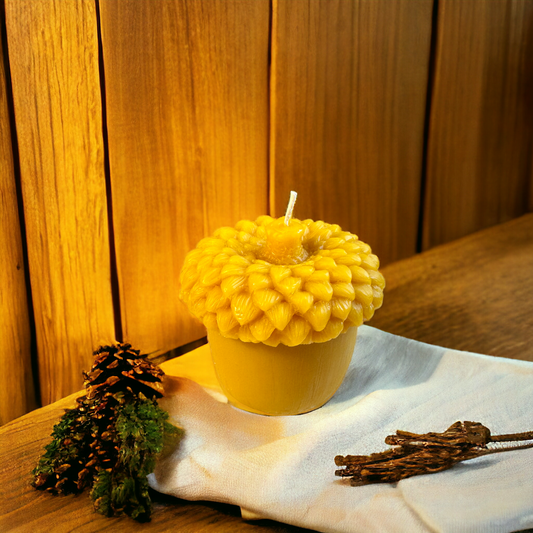Acorn Shaped Pure Beeswax Candle