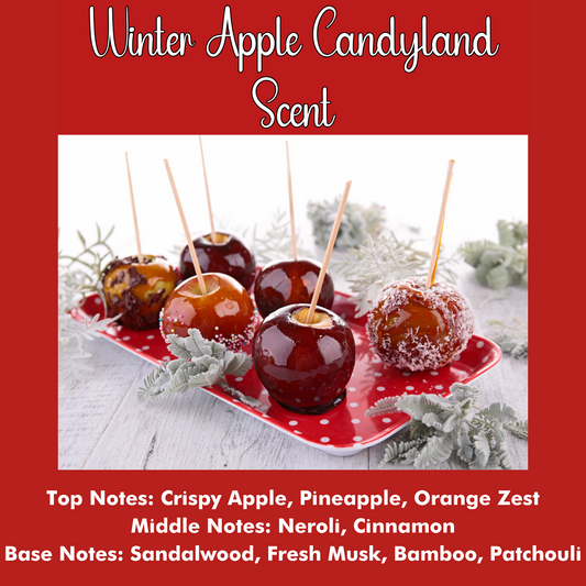 Winter Apple Candyland Scented - Pure Beeswax Melts for Warmers, (1 Pack)